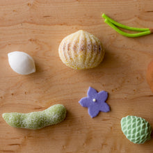 画像をギャラリービューアに読み込む, みのりの秋