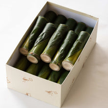 画像をギャラリービューアに読み込む, 甘露竹(かんろたけ)化粧箱入り