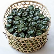 画像をギャラリービューアに読み込む, 甘露竹(かんろたけ)竹篭入り