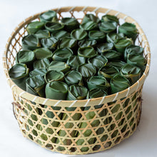 画像をギャラリービューアに読み込む, 甘露竹(かんろたけ)竹篭入り