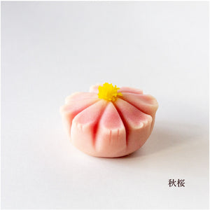 季節の上生菓子４種セット （冷蔵便）